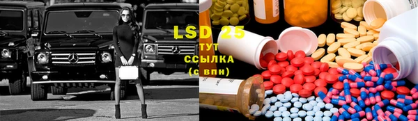 стаф Нефтекумск