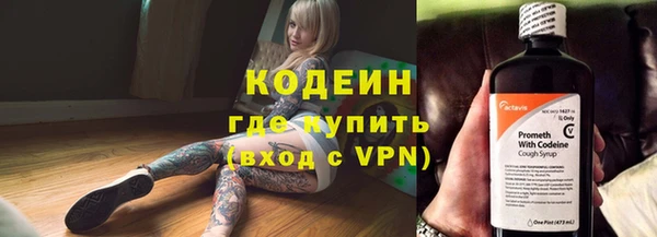 хмурый Новозыбков