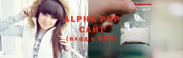 хмурый Новозыбков