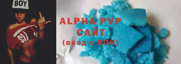 хмурый Новозыбков