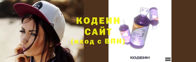 хмурый Новозыбков
