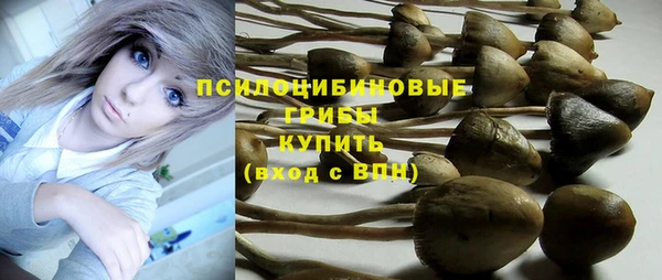 mdpv Нефтегорск