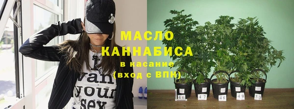 первитин Новодвинск