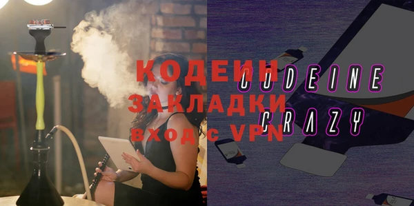 хмурый Новозыбков