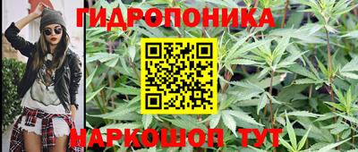 амф Жуковский