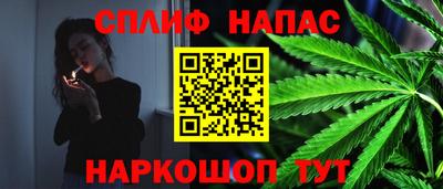 прущие крисы Заводоуковск