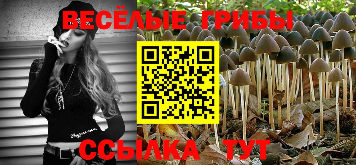 Псилоцибиновые грибы MAGIC MUSHROOMS  Вход с VPN  Нарткала 